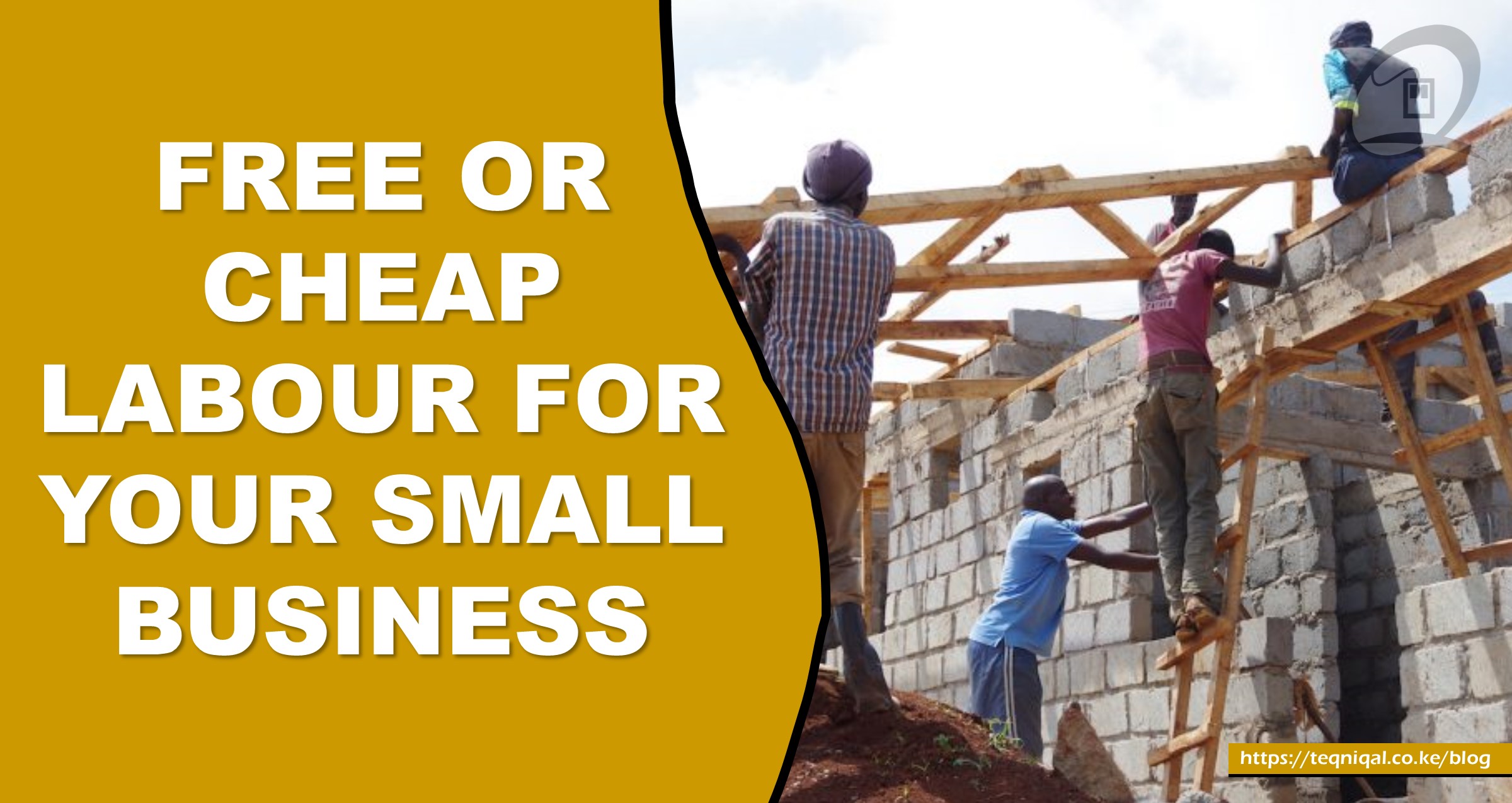 Free Or Cheap Labour For Your Small Business